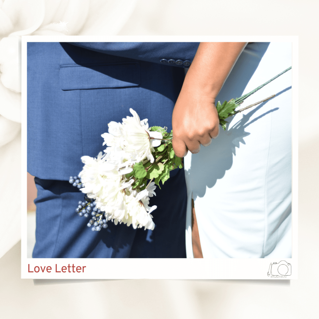 Intimate ceremony + courthouse/elopement
